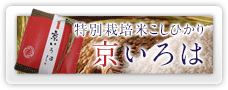 京いろは