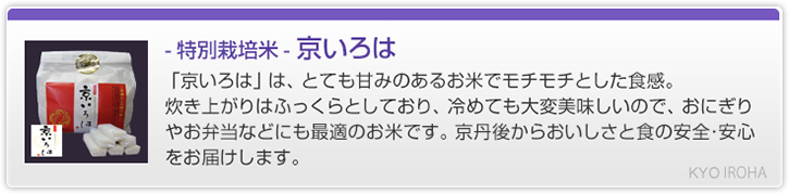 特別栽培米京いろは