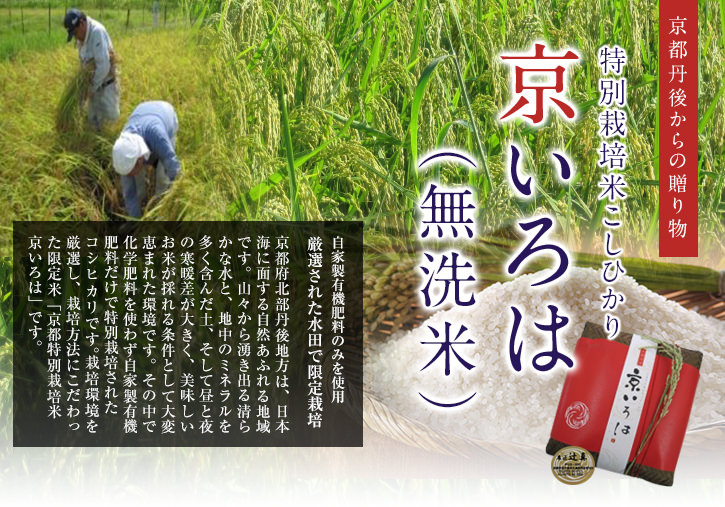 贈答用京いろは